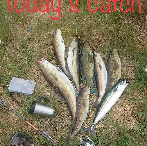 Villa Vassoy Stavanger